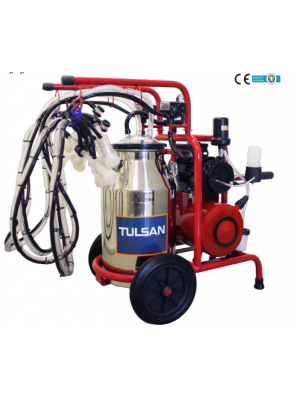 Klasik Tip Dört Sağım(Koyun)